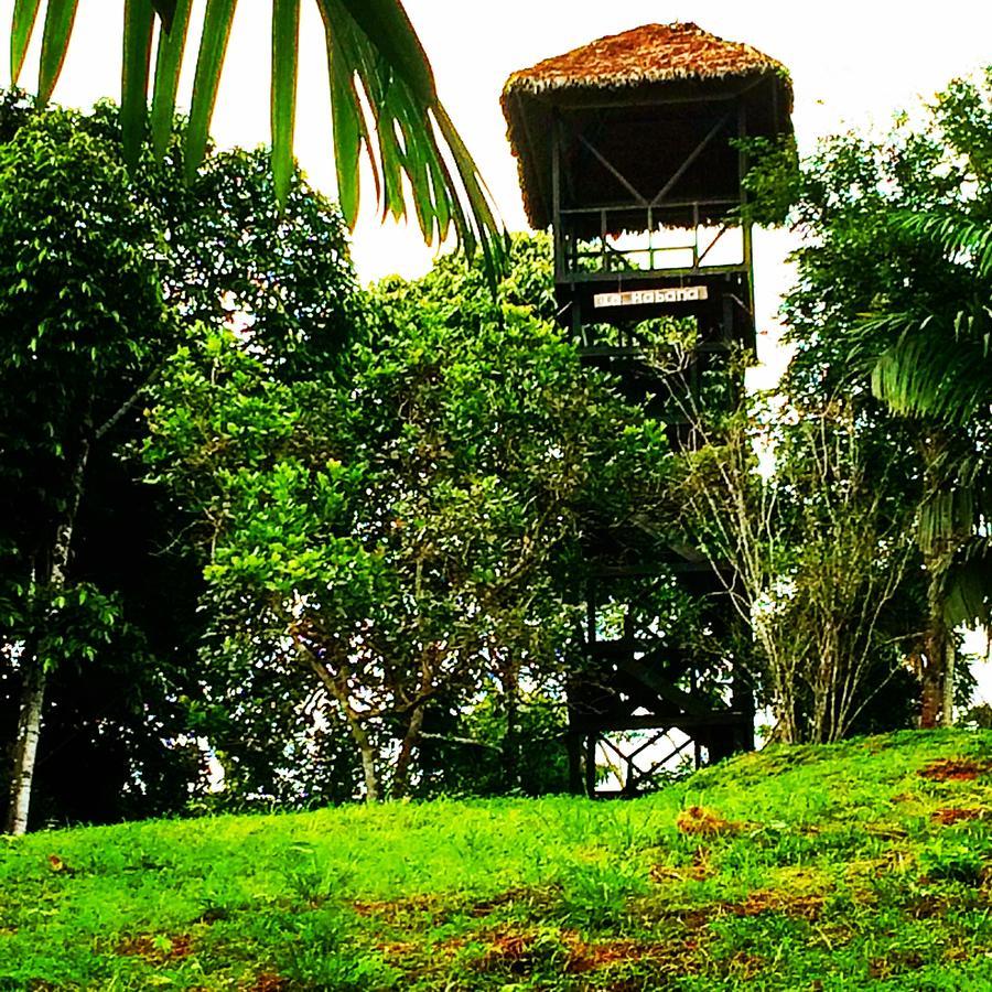 La Habana Amazon Reserve 푸에르토말도나도 외부 사진
