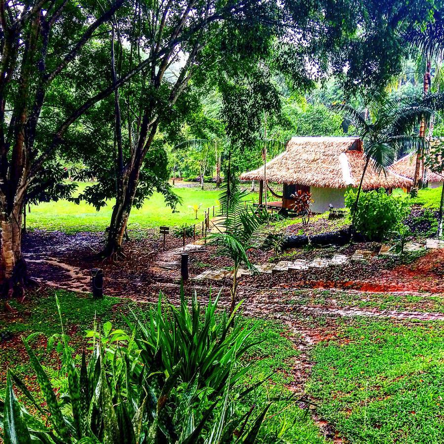 La Habana Amazon Reserve 푸에르토말도나도 외부 사진