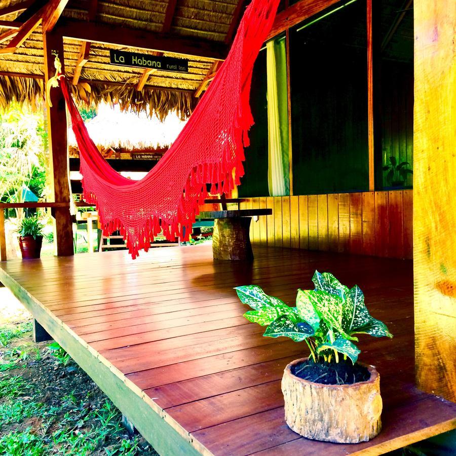 La Habana Amazon Reserve 푸에르토말도나도 외부 사진